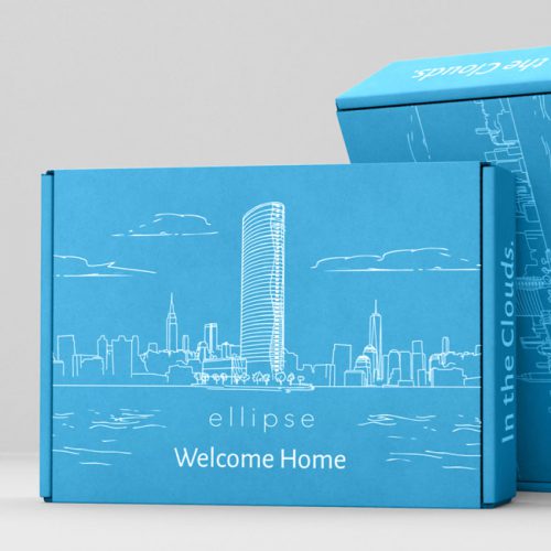 Packaging Design - Real Estate Industry services
